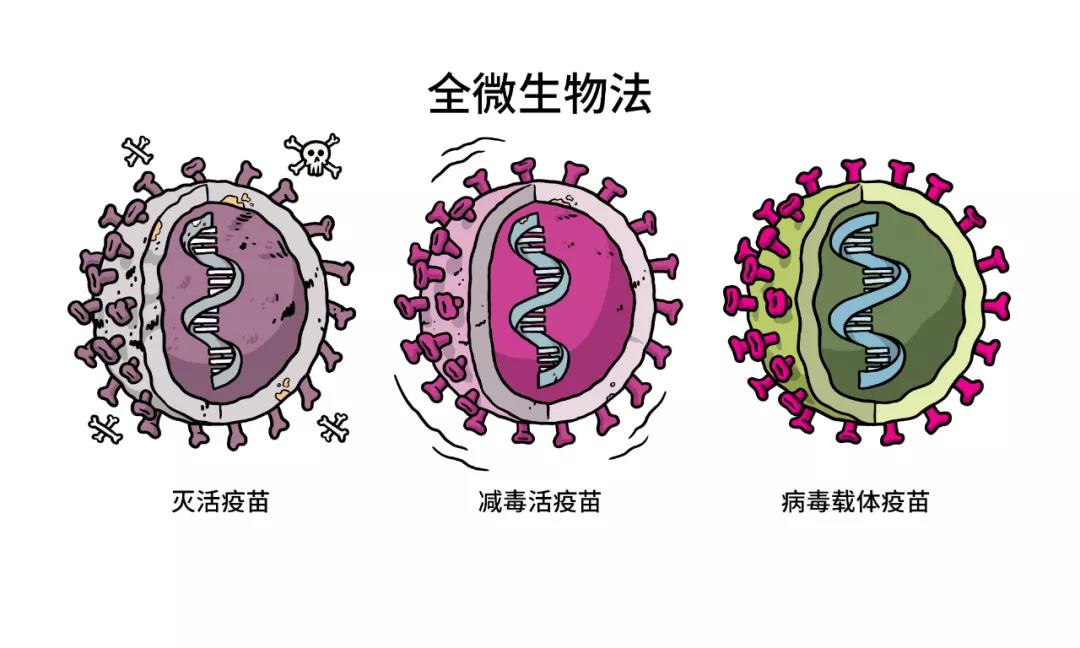 你的新冠疫苗白打了吗？